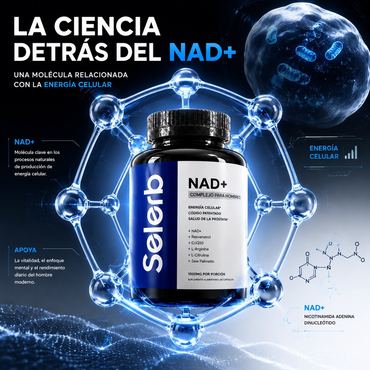 SELERB NAD+ Apoya tu energía celular, enfoque mental y vitalidad diaria.
