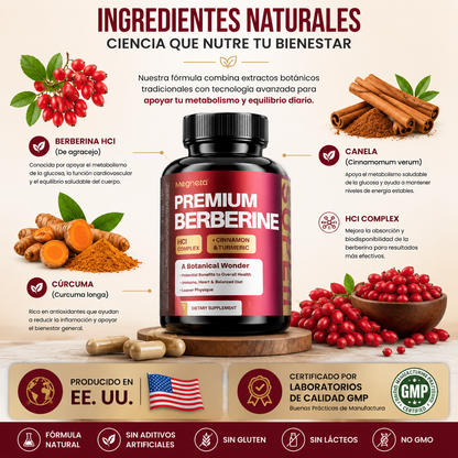 El Suplemento Natural que Apoya tu Metabolismo y Energía Diaria